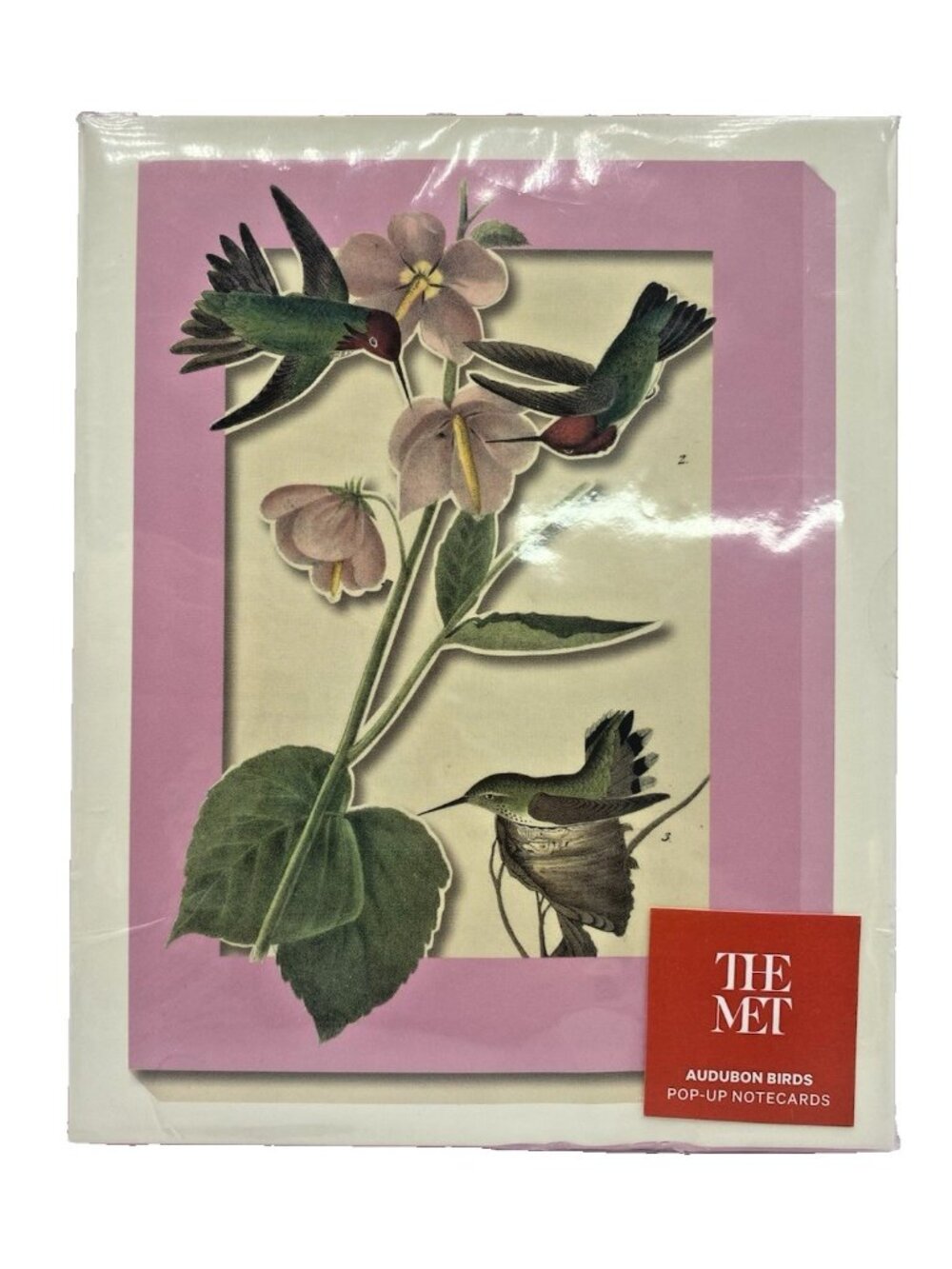 Metropolitan Museum of Art Audubon Birds Pop Up Notecards & Envelopes Set 8